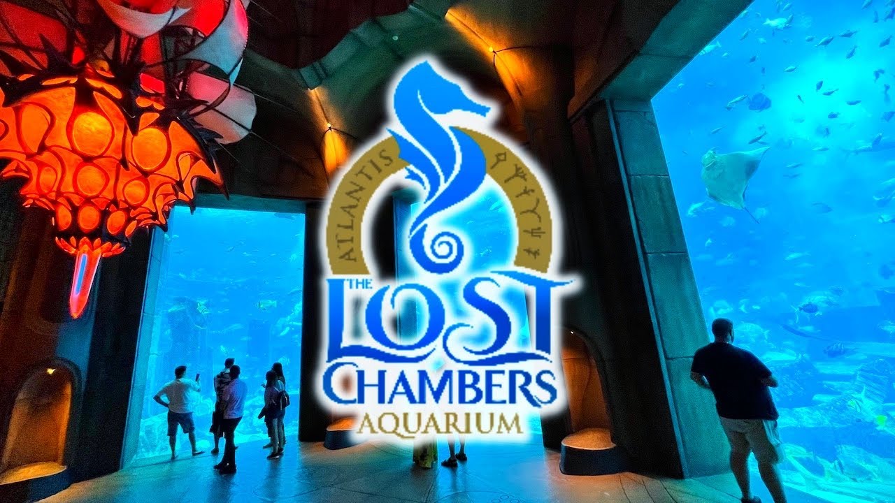 Discover The Lost Chambers Atlantis: A Mythical Underwater World in Dubai