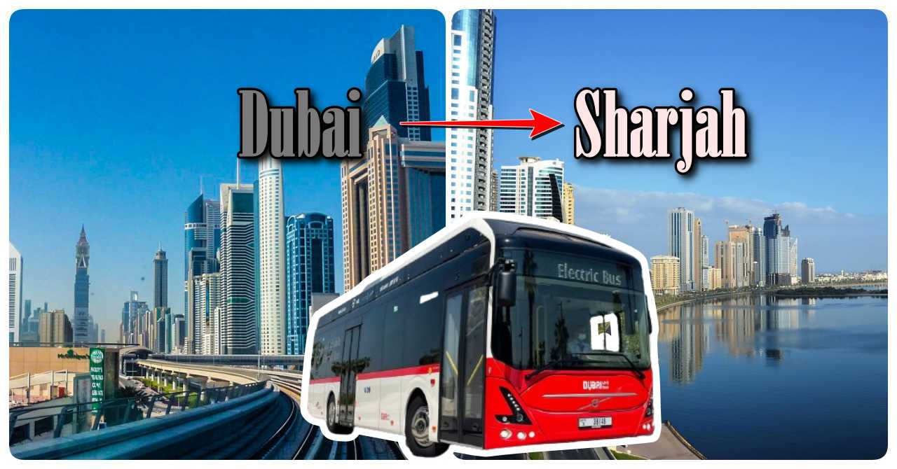 Dubai to Sharjah Bus: