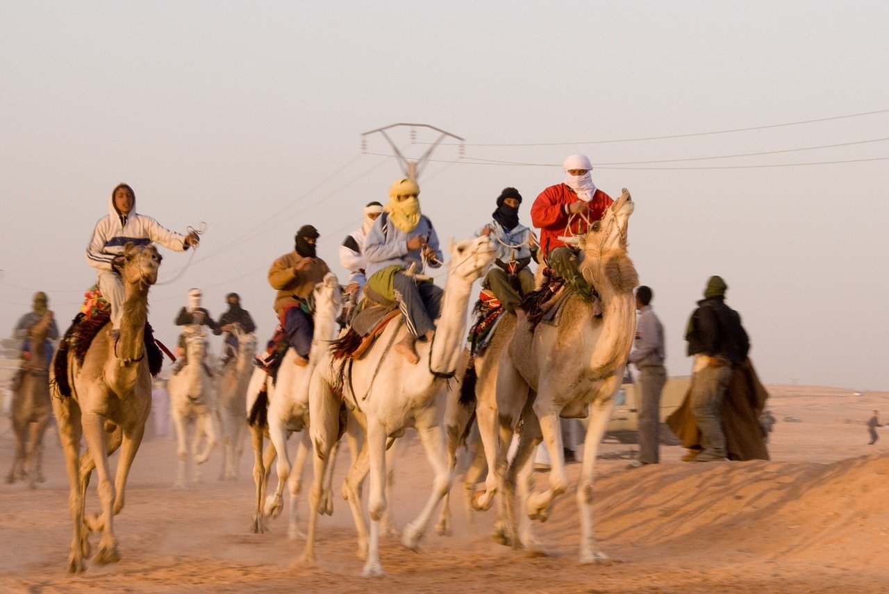Camel Racing in Dubai: What Tourists Need to Know?