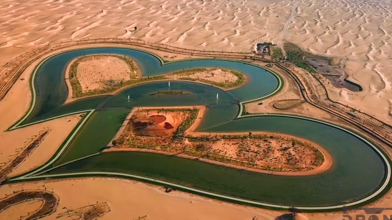 Al Qudra Forest – A Man-Made Oasis in the Dubai Desert