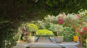 hidden spot in dubai